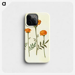 1-93_Maria-Sibylla-Merian_phone