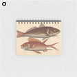 1-93_Mark-Catesby_memo