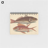 1-93_Mark-Catesby_memo