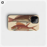 1-93_Mark-Catesby_phone