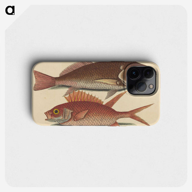 1-93_Mark-Catesby_phone