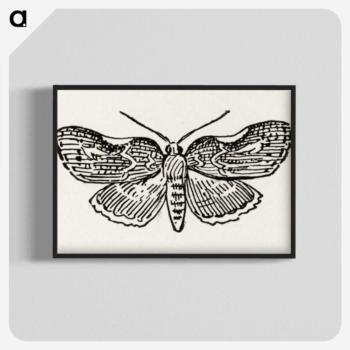 1-93_Moths-and-Butterflies-of-the-United-States_blk-crop