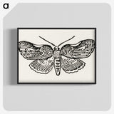 1-93_Moths-and-Butterflies-of-the-United-States_blk-crop