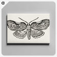 1-93_Moths-and-Butterflies-of-the-United-States_canvas