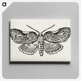 1-93_Moths-and-Butterflies-of-the-United-States_canvas