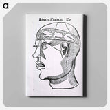 アートパネル-The Senses and the Brain
 - 国立医学図書館 Canvas.