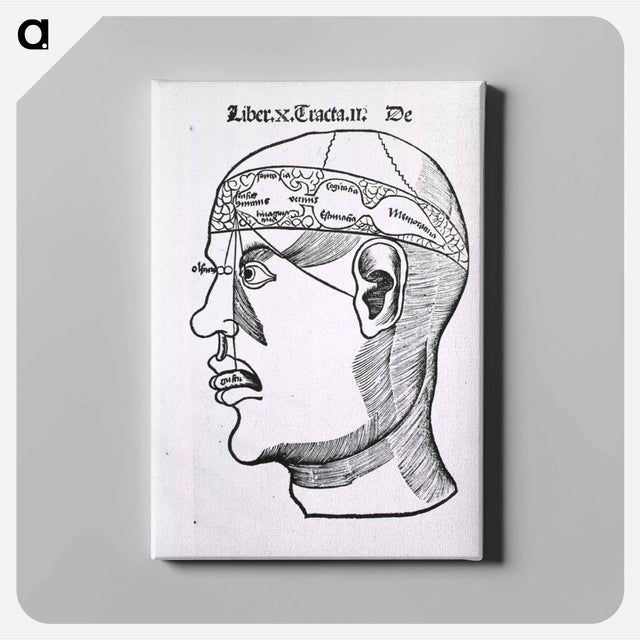 アートパネル-The Senses and the Brain
 - 国立医学図書館 Canvas.