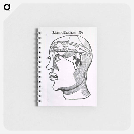 アートメモ帳-The Senses and the Brain
 - 国立医学図書館 Memo.