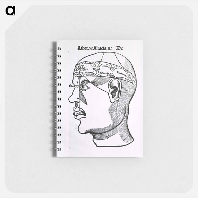 アートメモ帳-The Senses and the Brain
 - 国立医学図書館 Memo.