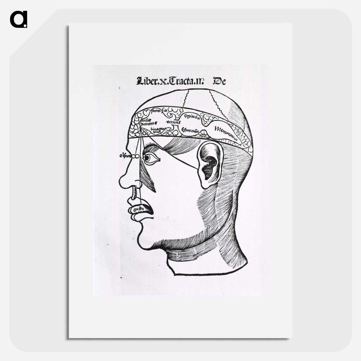 アートポスター-The Senses and the Brain
 - 国立医学図書館 Poster.