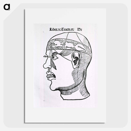 アートポスター-The Senses and the Brain
 - 国立医学図書館 Poster.