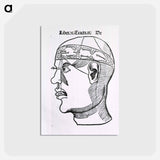 アートポストカード-The Senses and the Brain
 - 国立医学図書館 Postcard.