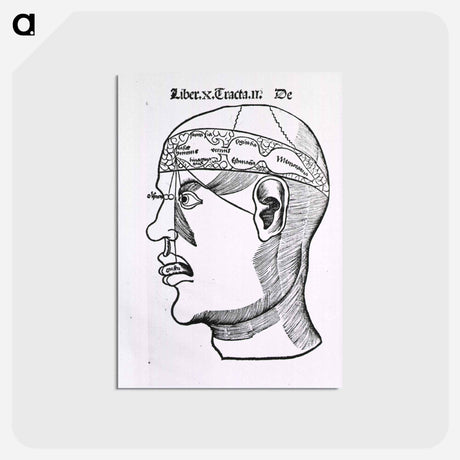 アートポストカード-The Senses and the Brain
 - 国立医学図書館 Postcard.