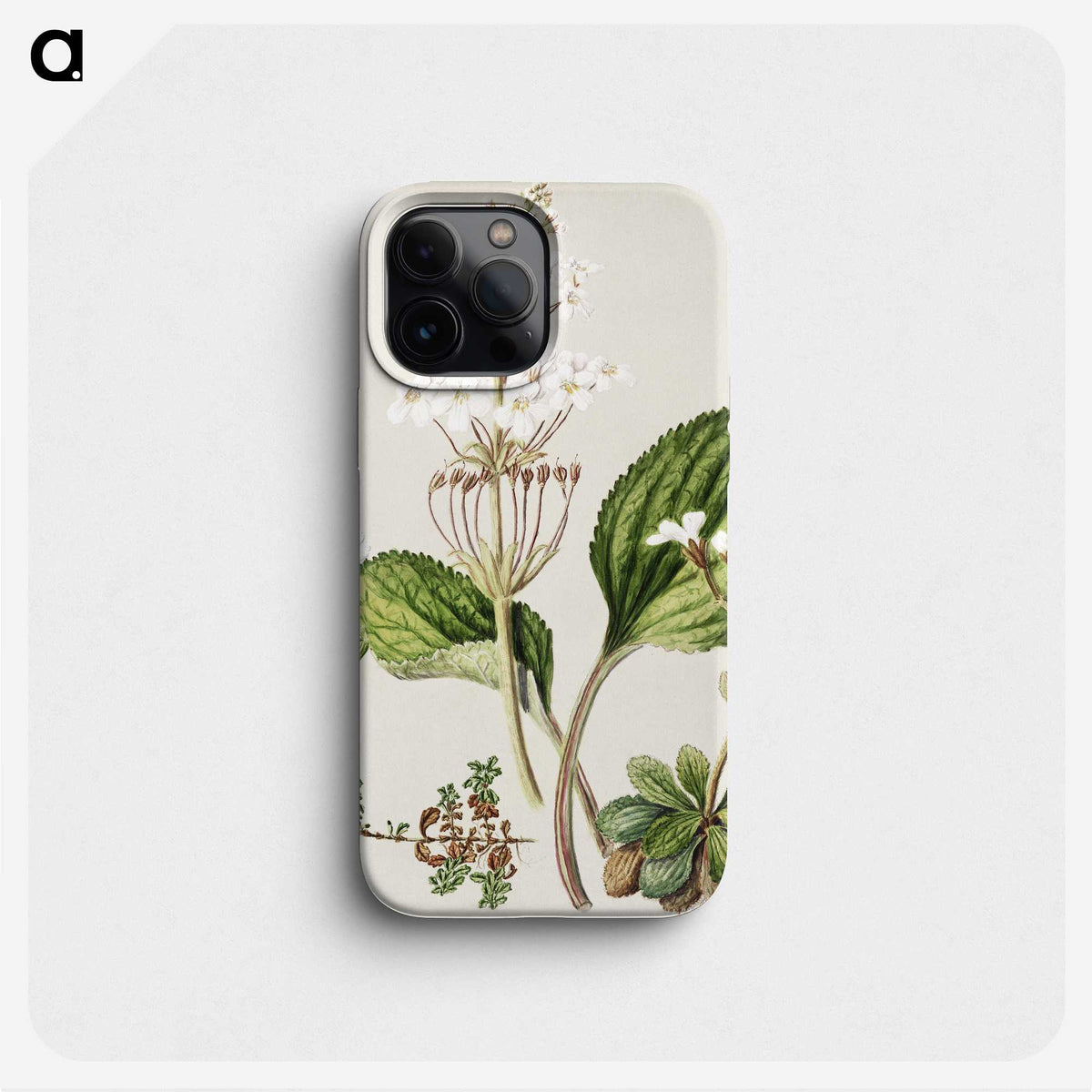 1-93_Native-Flowering-Plants-of-New-Zealand_phone