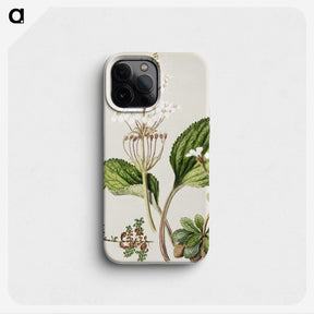 1-93_Native-Flowering-Plants-of-New-Zealand_phone