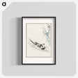 アートポスター-Long-tailed Wild Duck and Cliff
 - 鳥類図鑑 Poster.
