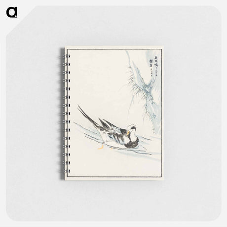 アートメモ帳-Long-tailed Wild Duck and Cliff
 - 鳥類図鑑 Memo.