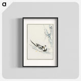 1-93_Pictorial-Monograph-of-Birds_blk