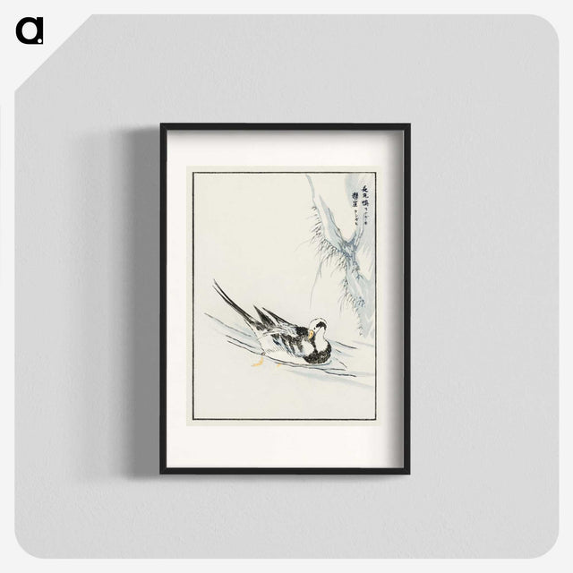 1-93_Pictorial-Monograph-of-Birds_blk