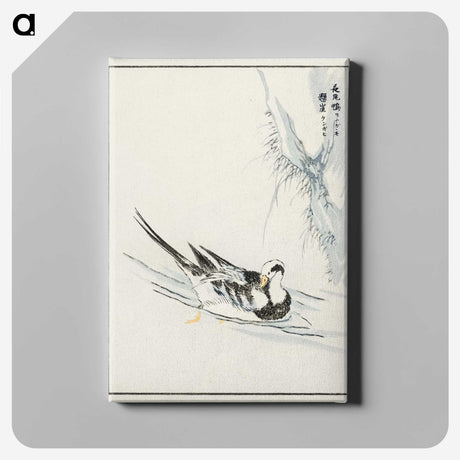 1-93_Pictorial-Monograph-of-Birds_canvas