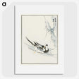 1-93_Pictorial-Monograph-of-Birds_picture