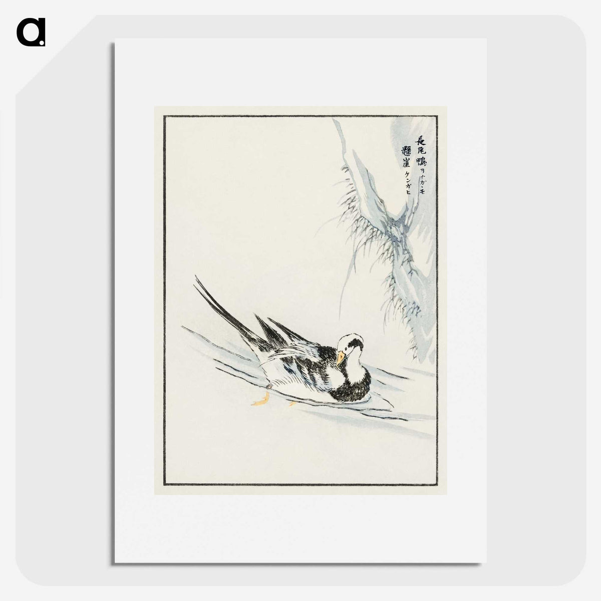 1-93_Pictorial-Monograph-of-Birds_picture