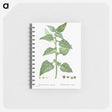 1-93_Pierre-Joseph-Redoute_memo