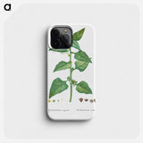 Tetragonia Expansa (New Zealand Spinach) - ピエール ジョゼフ ルドゥーテ Phone Case.