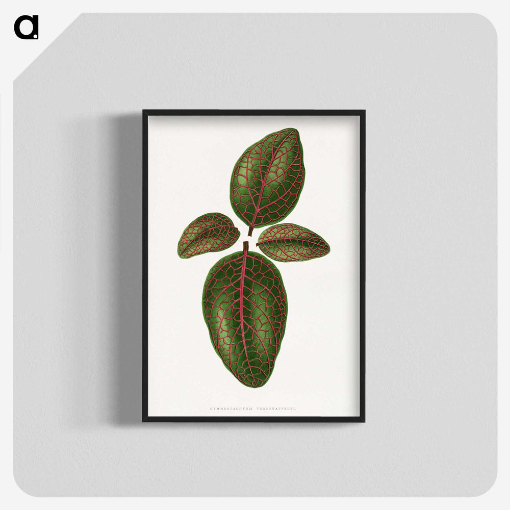 1-93_Plants-with-Colored-Foliage_blk-crop