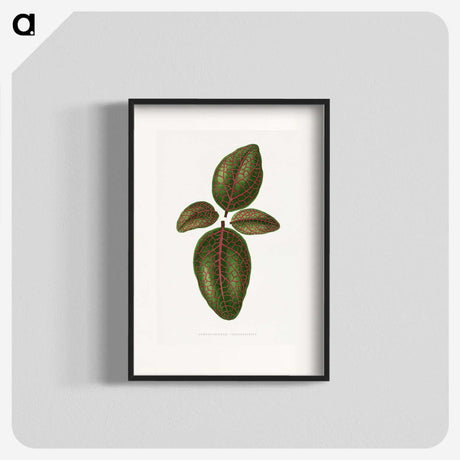 1-93_Plants-with-Colored-Foliage_blk