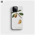 1-93_Pomona-Italiana_phone