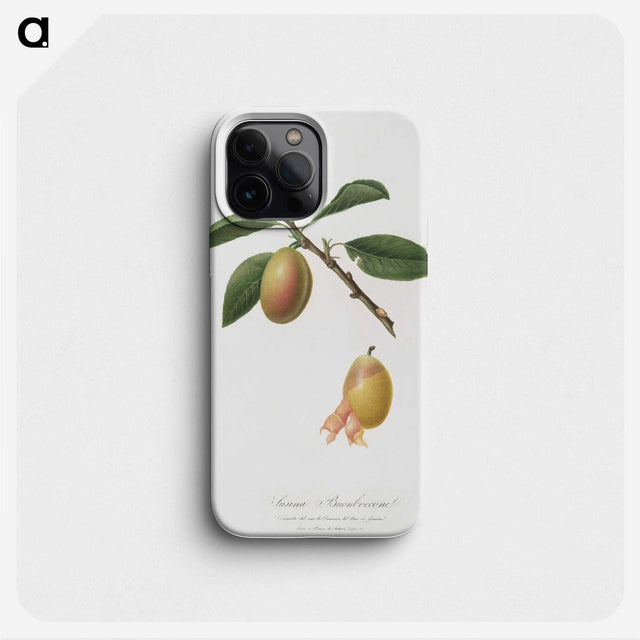 1-93_Pomona-Italiana_phone