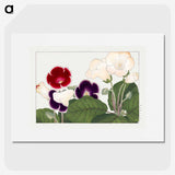 1-93_Seiyo-Soka-Zufu_picture