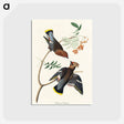 アートポストカード-Bohemian Chatterer from Birds of America
 - アメリカの鳥たち Postcard.