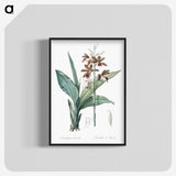 1-93_The-Lilies_blk-crop