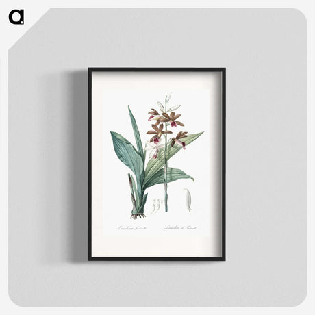 1-93_The-Lilies_blk