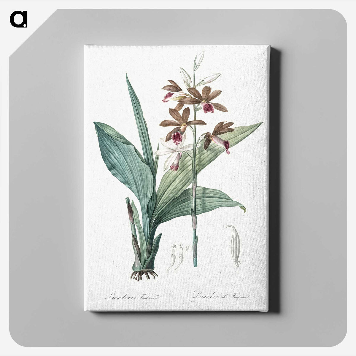 1-93_The-Lilies_canvas