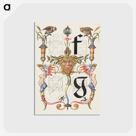 アートポストカード-Guide for Constructing the Letters f and g from Mira Calligraphiae Monumenta
 - 書道のお手本 Postcard.