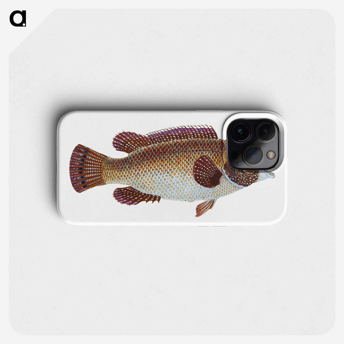 1-93_The-Natural-History-of-British-Fishes_phone