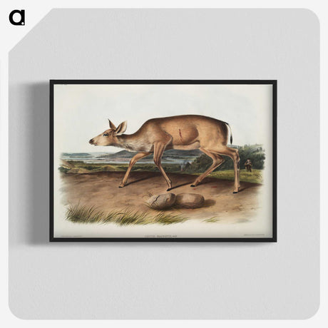 1-93_The-Viviparous-Quadrupeds_blk-crop