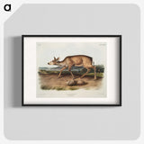1-93_The-Viviparous-Quadrupeds_blk