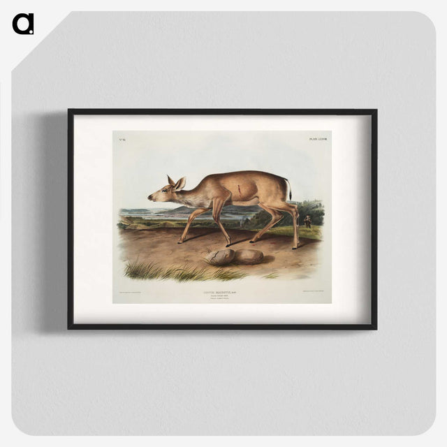 1-93_The-Viviparous-Quadrupeds_blk