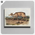 1-93_The-Viviparous-Quadrupeds_canvas