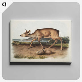 1-93_The-Viviparous-Quadrupeds_canvas