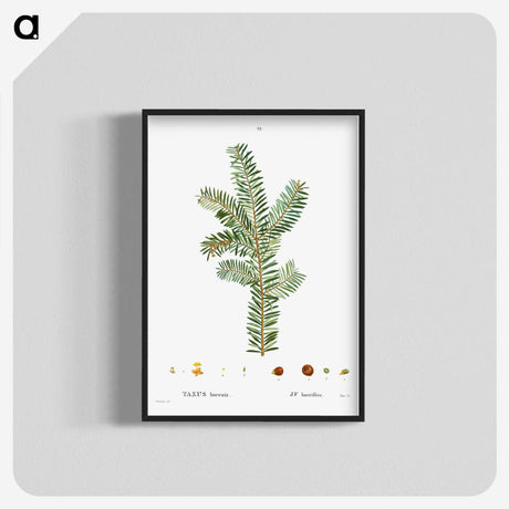 1-93_Treatise-on-Trees-and-Shrubs_blk-crop