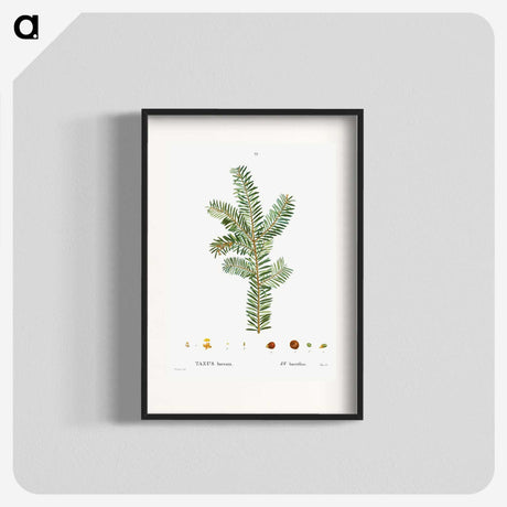 1-93_Treatise-on-Trees-and-Shrubs_blk