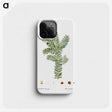 1-93_Treatise-on-Trees-and-Shrubs_phone