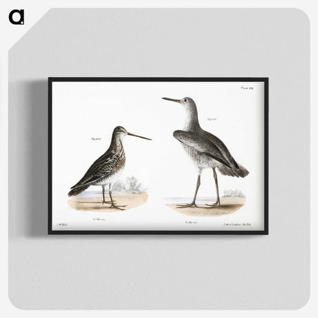 1-93_Zoology-of-New-York_blk-crop