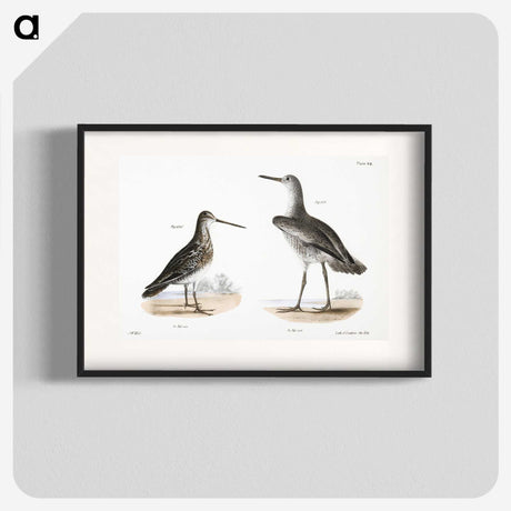 1-93_Zoology-of-New-York_blk