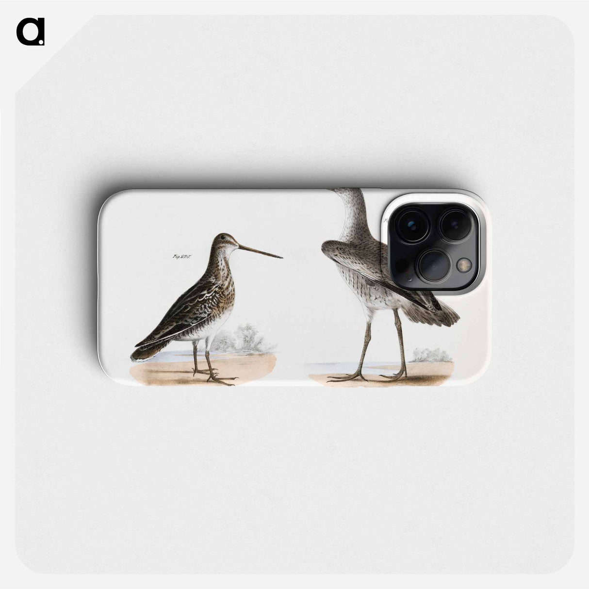 Willet (Totanus semipalmatus) 220. American Snipe (Scolopax wilsoni) - ニューヨークの動物学 Phone Case.